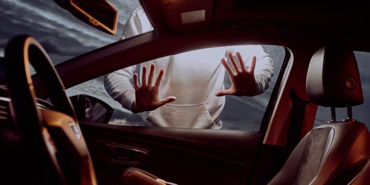 Sicurezza furto criminalità