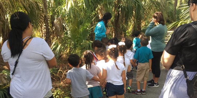 offerta lavoro Summer camp