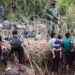 Stati Uniti migranti