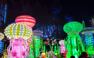 Luminosa