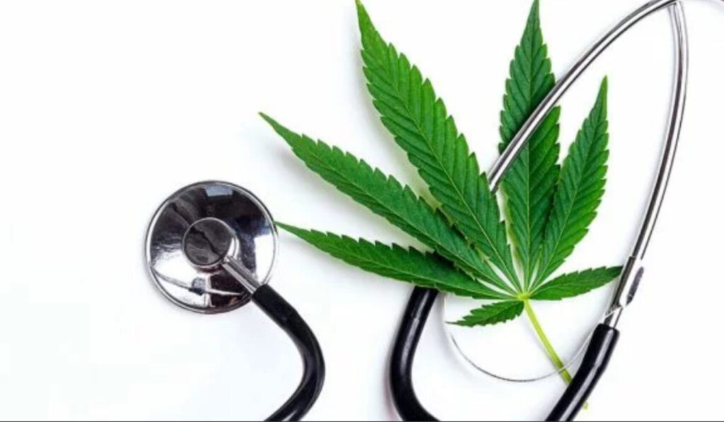 Cannabis